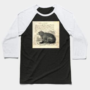 dark academia rustic cabin woodland animal mountain forest grizzly bear Baseball T-Shirt